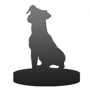 pet customised bobblehead